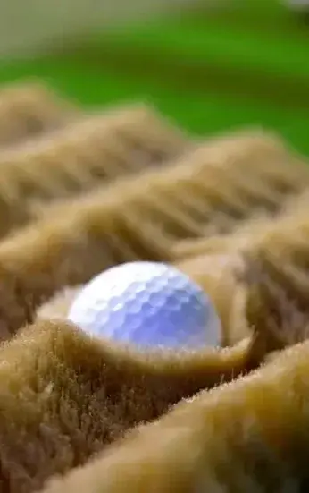 Golf ball in a simulated rough surface