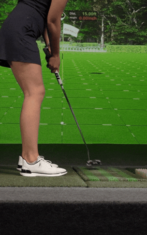 Golfer using the precision putting surface
